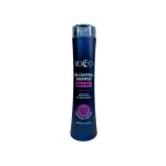 Shampoo Control Graso Rocco X12