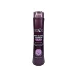 Shampoo Post Alisado Línea Rocco X12