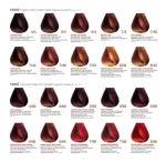 Tintura Innovation de Bbcos + Oxidante 150 ml - Imagen 8